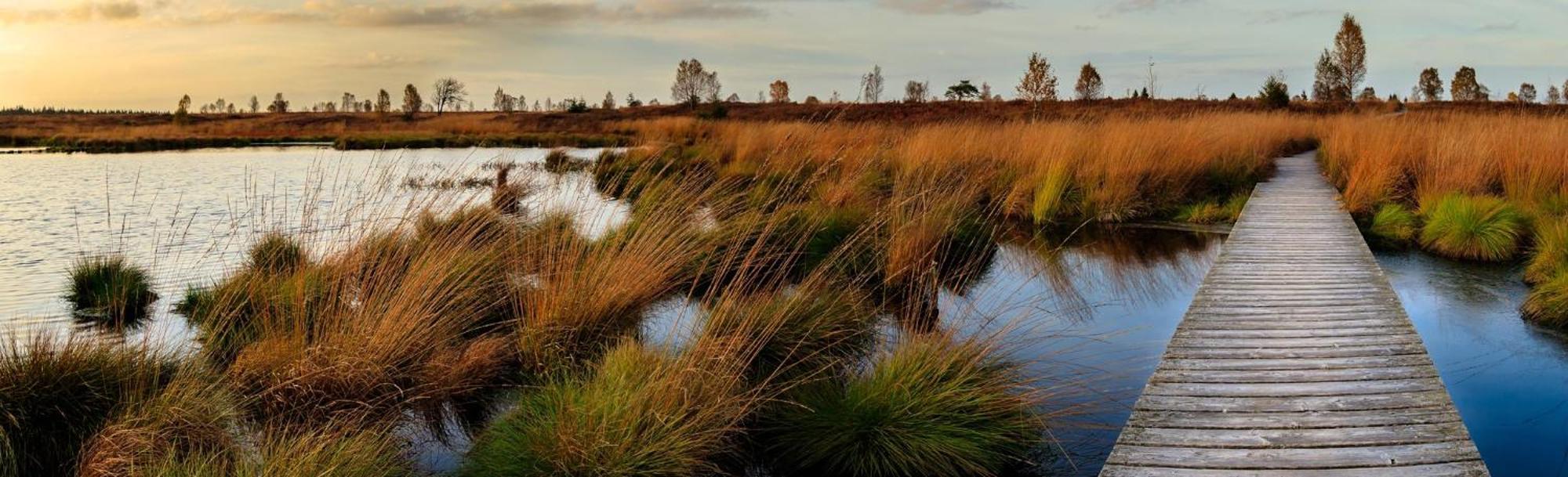 Holiday Inn Express Pascagoula-Moss Point By Ihg Dış mekan fotoğraf